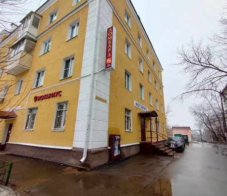 Лев просп. Ленина, 17
